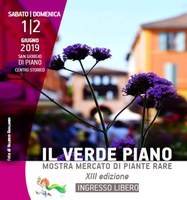 01-02/06/2019 San Giorgio di Piano - Verde Piano