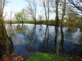 19/09/2021 Andar per maceri. Incontri, rievocazioni e percorsi sui maceri della pianura bolognese