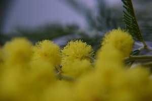 07-20/03/2022 Castel Maggiore - Io l’8. Eventi organizzati in occasione della Festa Internazionale della Donna