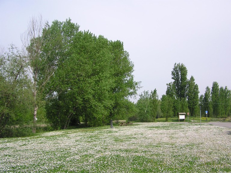 Parco fluviale del Reno