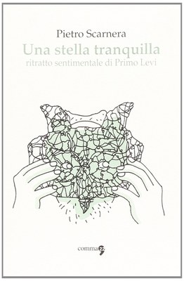 Copertina del fumetto Una stella tranquilla