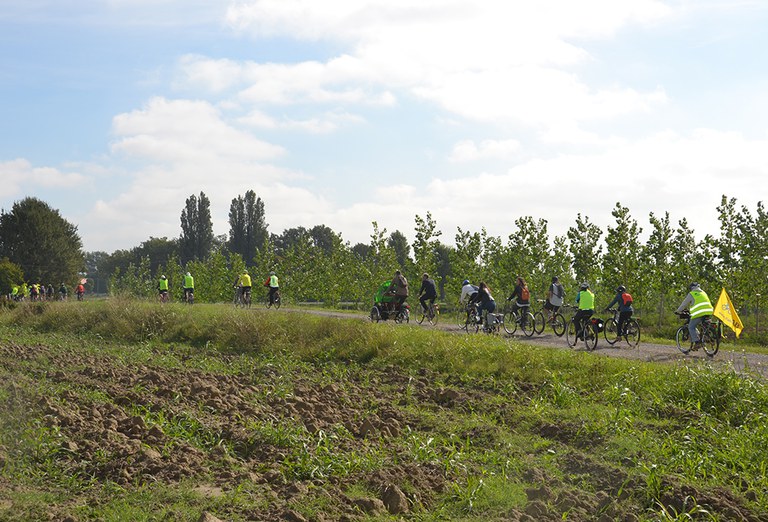 In bicicletta sull'argine del Reno