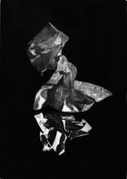 Alfonsina Sica, Cigno, 2022. Toner transfer, acquatinta su carta Fabriano Tiepolo, 50x60 cm, 290g_mq, 496x346mm