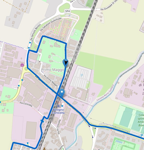 bolognamarathon2023 (1).jpg