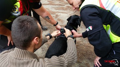 gopro sul cane.jpg