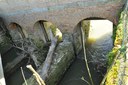 Grosso tronco all'imbocco del Canale Diversivo