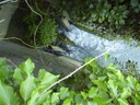 La chiusa che immette nel Fiume Reno