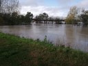 l'acqua del fiume Reno ha allagato le aree golenali