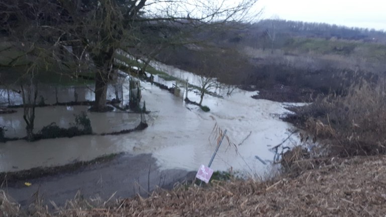 L'acqua limacciosa del fiume inizia ad allagare le golene