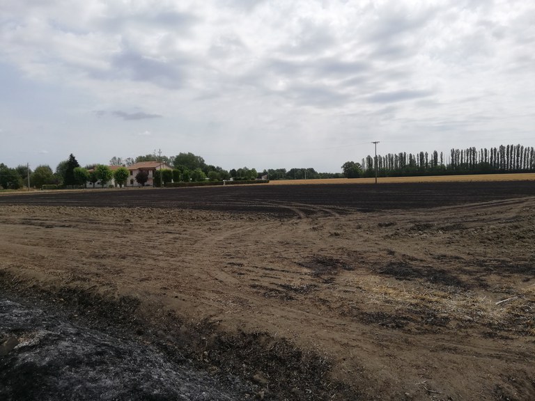 La stoppia incenerita