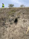 Reno - tana di animale di notevole dimensioni