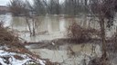 le acque del fiume Reno sono molto alte