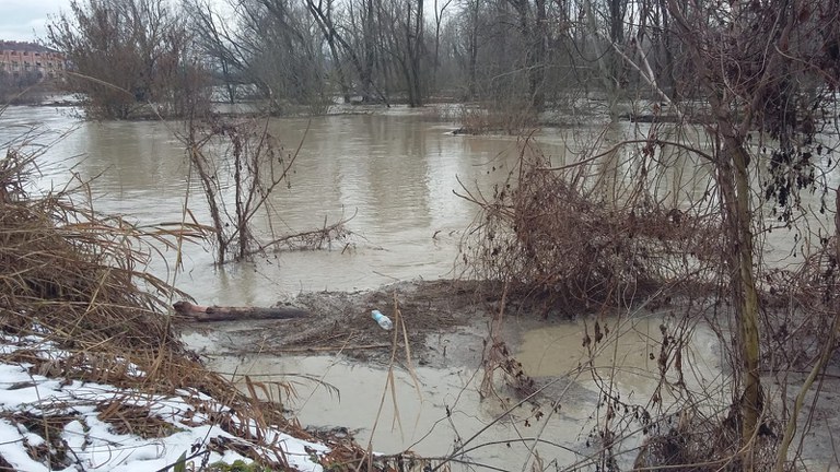 le acque del fiume Reno sono molto alte