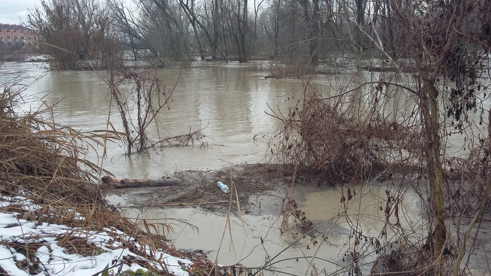 le acque del fiume Reno sono molto alte