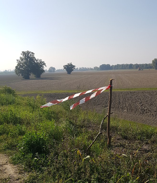 Picchettamento dei punti rilevati