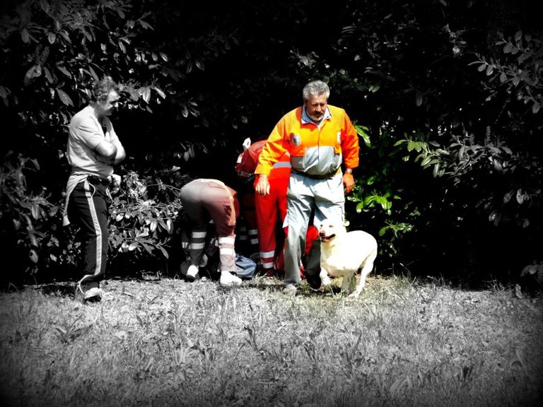 Ricerca feriti con i cani da scovo