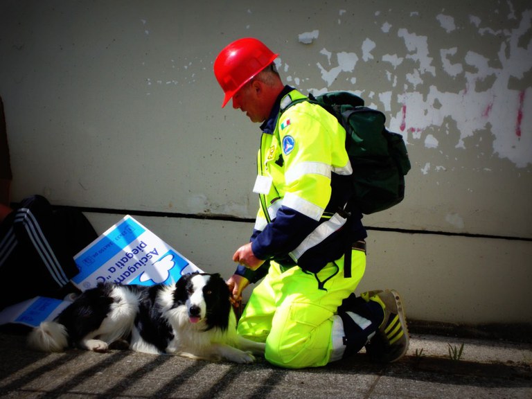 Ritrovamento con cani da scovo