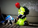 Ritrovamento con cani da scovo