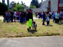 Ricerca feriti con i cani da scovo