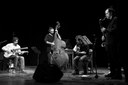 Tolga During Quartet Concerto Gipsy.jpg