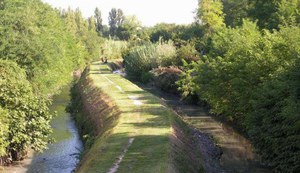 Chiusa  al transito ciclopedonale la sponda ovest del Navile da Castel Maggiore a Bentivoglio