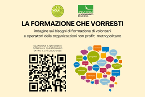 La formazione che vorresti: indagine sui bisogni formativi di volontari e operatori del non profit metropolitano