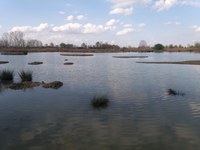 Oasi La Rizza. Nuovi percorsi e nuove strutture di visita nell’area naturalistica dell’ex risaia di Bentivoglio