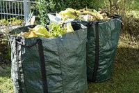 Potatura alberi e manutenzione fossi: obblighi per i proprietari di fondi e terreni che confinano con le strade provinciali