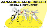 Zanzare e altri insetti, impara a difenderti