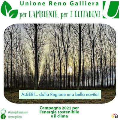 Alberi Alberi