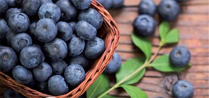 Sagre e feste di agosto e settembre 2017