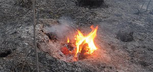 Incendi boschivi: prorogato fino al 10 settembre lo stato di "grave pericolosità"