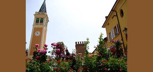 Organizzazione della mostra mercato di piante rare e ornamentali Verdepiano, a San Giorgio di Piano
